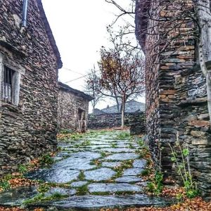 callejon de la carne ceria